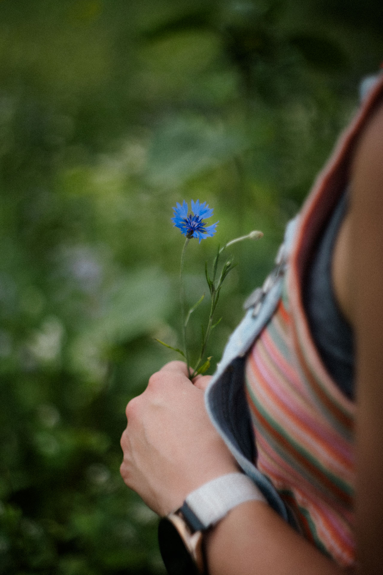 Blume in den Händen, Portraitfotograf Augsburg