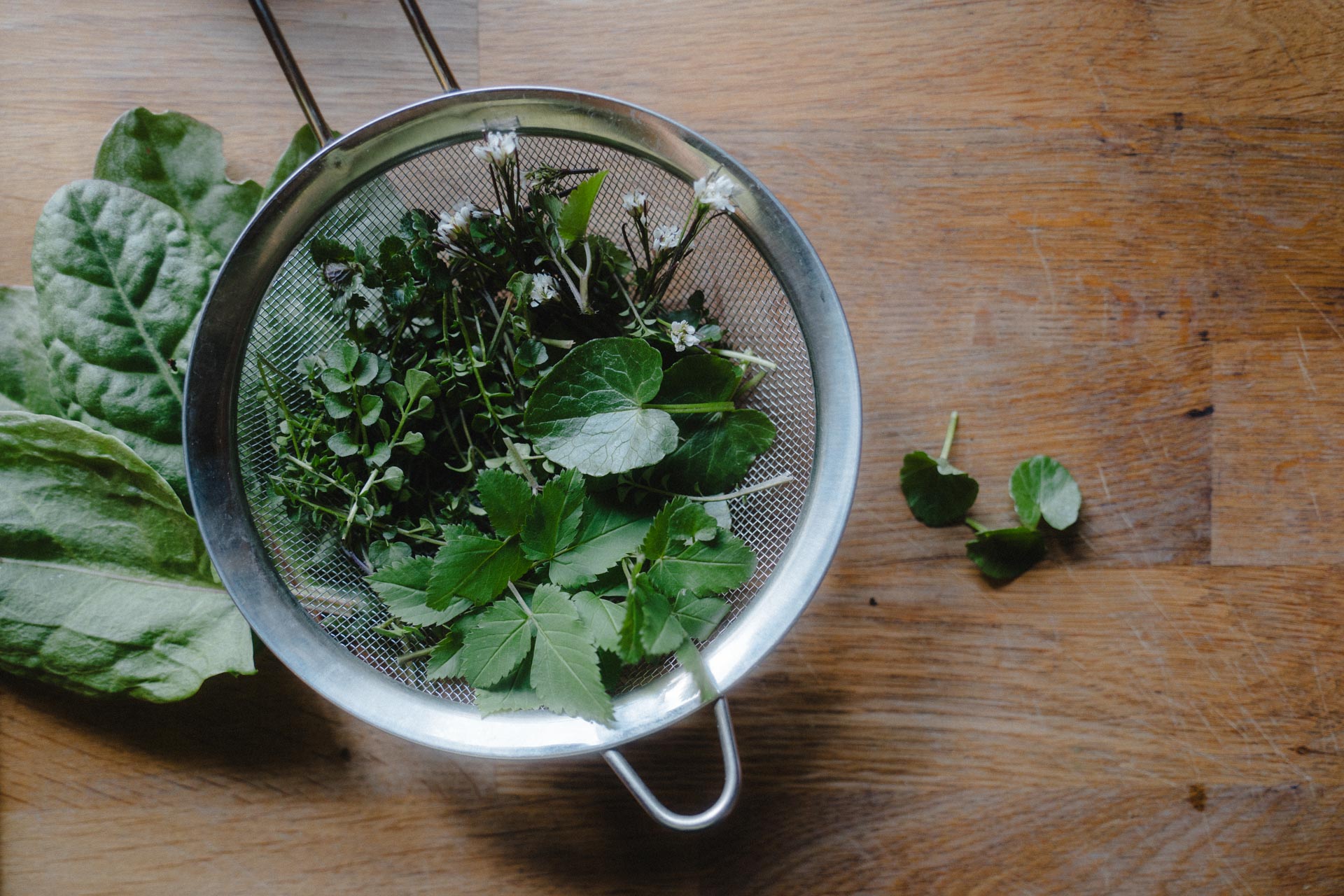 Das Foto eines Siebs voll mit Kräutern; Giersch, Scharbockskraut, Schaumkraut, Sauerampfer und Gundermann, das Foto ist im Rahmen der Lifestyle Fotografie entstanden