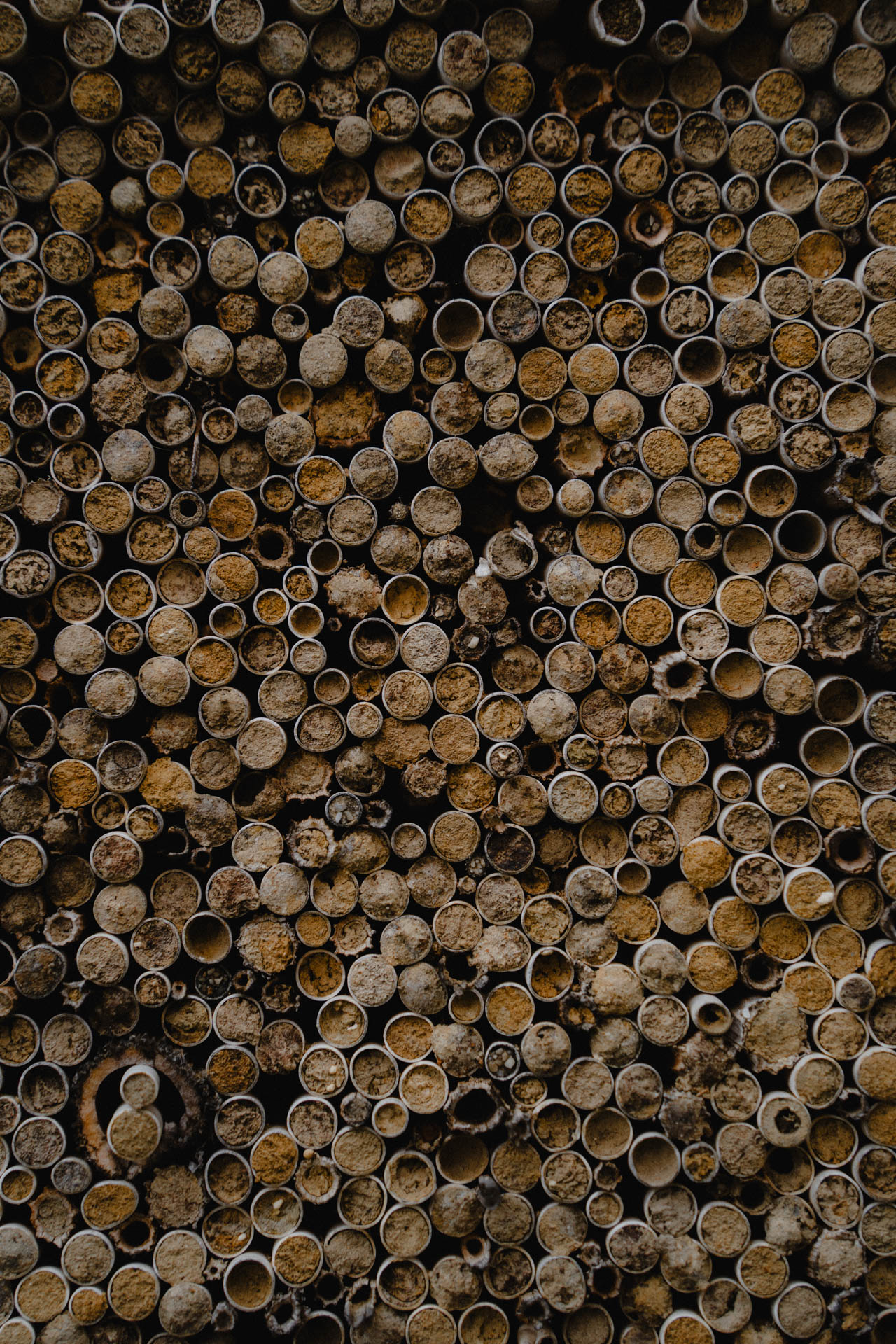 Eine Nahaufnahme eines Insektenhotels, das Foto ist im Rahmen einer Lifestyle Editorial Fotostrecke für Magazine entstanden