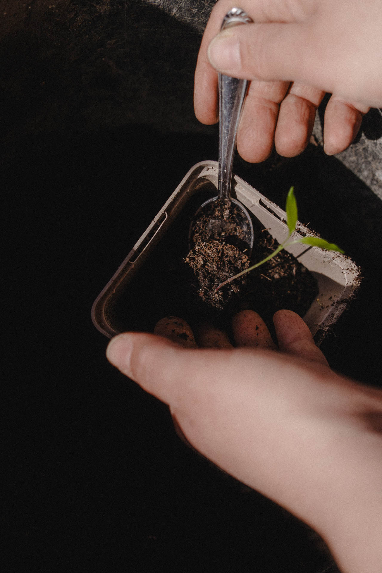 Eine Nahaufnahme der ersten Aussaat des Jahres, das Foto ist im Rahmen einer Lifestyle Editorial Fotostrecke für Magazine entstanden