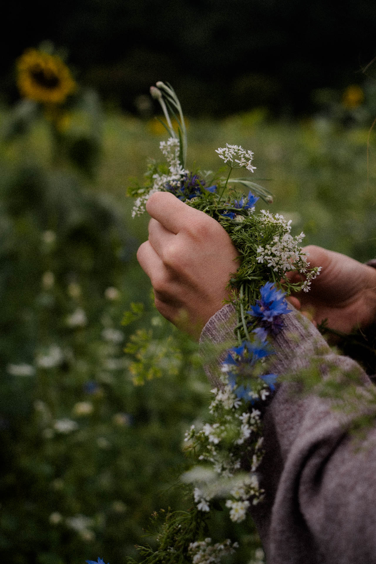 Jemand flechtet eine Blumenkrone, das Foto ist im Rahmen der Portraitfotografie entstanden.