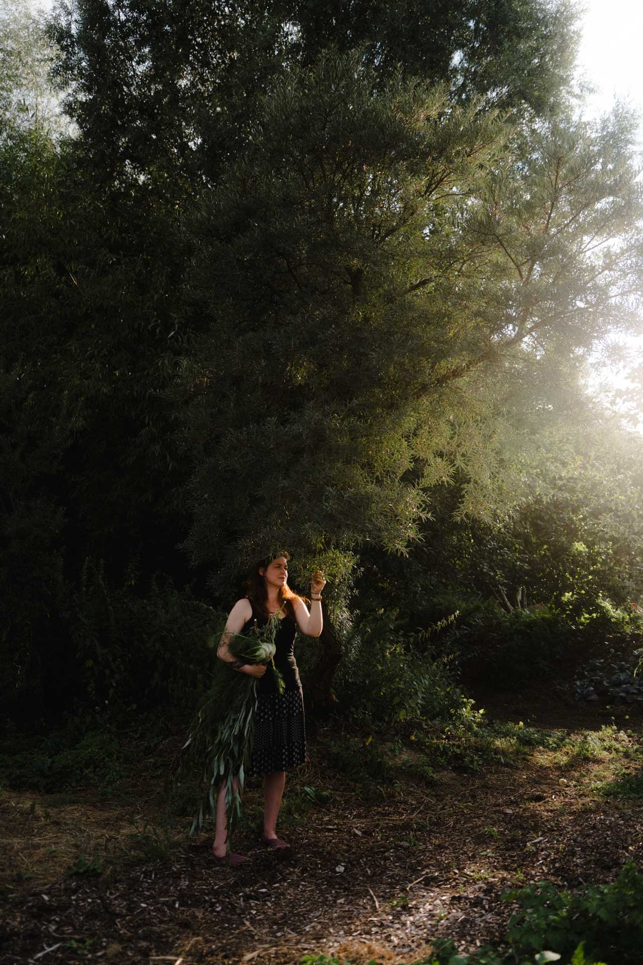 Eine Frau steht unter einem Baum und betrachtet die Blätter, die Sonne scheint, das Foto ist im Rahmen der Portrait- und Businessfotografie entstanden.